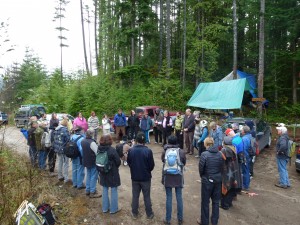 Wilson Creek Forest - Artists and Supporters Gather at the Trailhead Wilson Creek Forest - Artists and Supporters Gather at the Trailhead