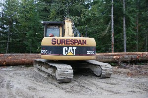 10369686_776531902389658_5699994212056045028_n-Surespan cat